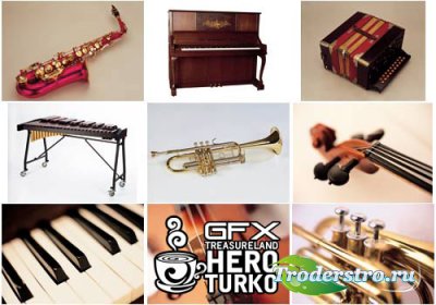 DI059 Musical Instrument - 