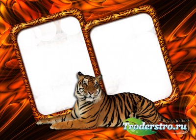 Рамка для Фотошопа - Тигр