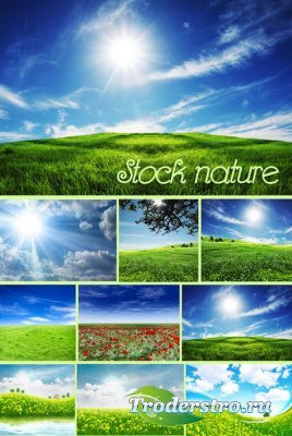 Nature - Stock photos -   
