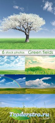 Green fields |   -   