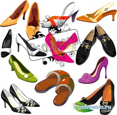 shoe Vector -    
