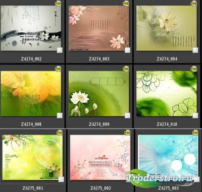 Photoshop PSD Layer New Templates -   