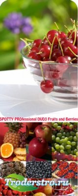 SPOTTY PROfessional DVD3 Fruits and Berries -  