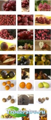 SPOTTY PROfessional DVD3 Fruits and Berries -  