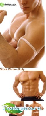 Stock Photo - Body - 