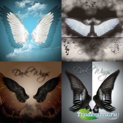 PSD  - Angel and Dark Wings