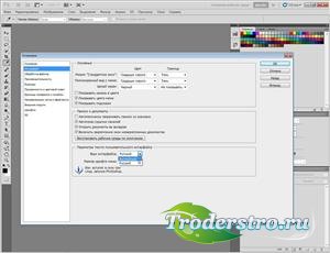 Adobe CS5 Design Premium DVD Update 3 [RUS / ENG]