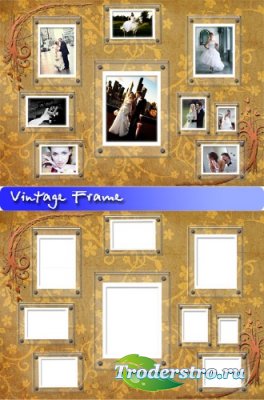   - Vintage Frame (1 PNG + 1 PSD)