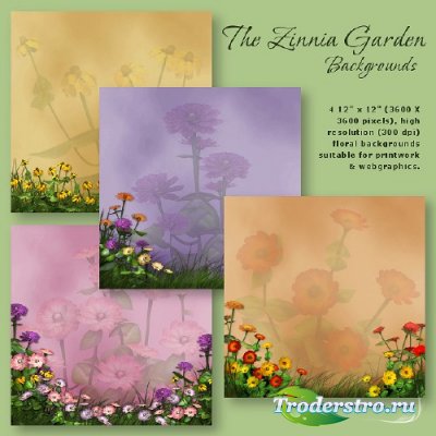   -   - Zinnia Garden Backgrounds