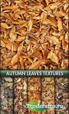     3ds max / Autumn foliage textures