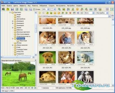 FastStone Image Viewer 4.5 Final Corporate + Portable