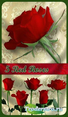 PNG Клипарт - Прекрасные красные розы (на прозрачном фоне)