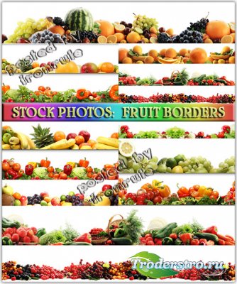 Фото-сток: Фруктовые и овощные бордюры