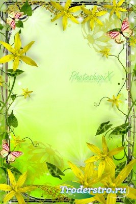Рамка для Photoshop с желтыми цветами – Солнечное пробуждение