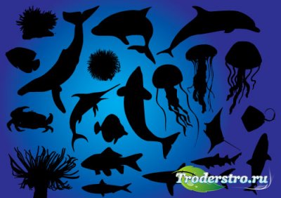      - Vector Silhouettes fishes