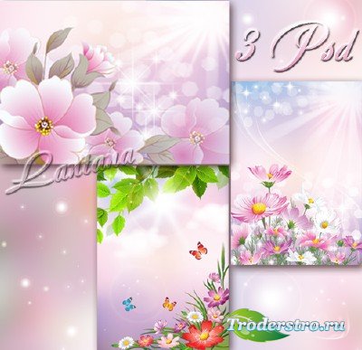 PSD исходники для фотошопа - Полевые цветы на весеннем лугу
