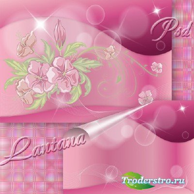 PSD исходник для фотошопа - Сияет розовый букет