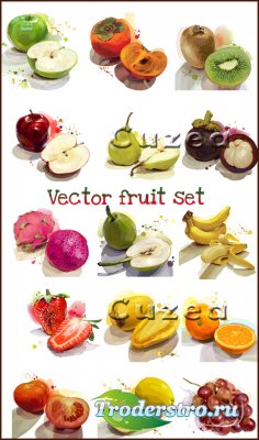   / Vector fruit set