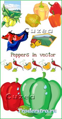 Peppers in vector