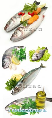       | Fresh fish and greens on a white background - Stock photo