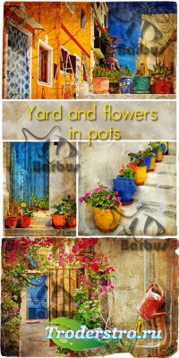 Yard and flowers in pots /      - photo stock