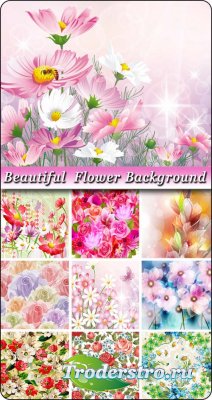     / Beautiful flower backgrounds in vector