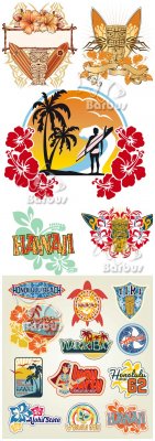 Hawaii and hibiscus flowers /    