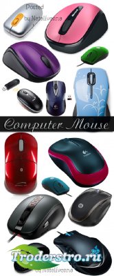   PNG   / Computer mouse - Clipart in PNG