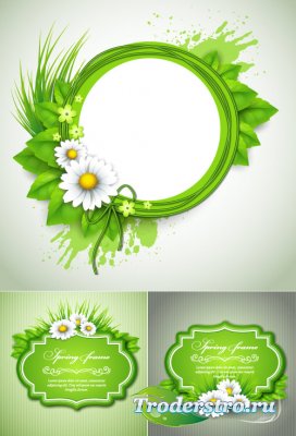 Frame with Trem romashkami zelenogo color (vector)