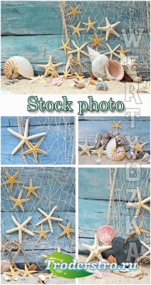 Морские фоны / Marine backgrounds, fishing nets and seashells - Raster clip ...