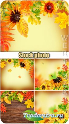   / Autumn backgrounds, flowers and yellow autumn leaves - Raster clipart