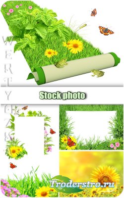 ,     / Flowers, green grass and butterflies - Raster clipart