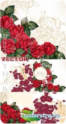        / Wedding backgrounds with roses and golden ornaments - vector