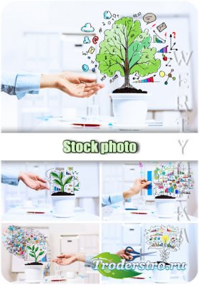  , ,  / Business plans, success, growth - Raster clipart