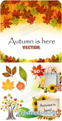  , , ,  / Autumn backgrounds - vector