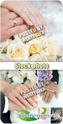 ,     / Wedding, bride and groom hands - stock photos