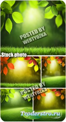      / Backgrounds with leaves and grass - stock photos