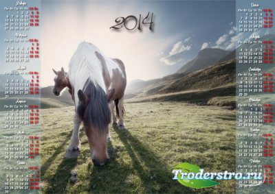 Календарь 2014 - Кони пасутся на лужайке