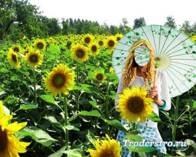 Женский шаблон - Милашка в поле подсолнухов с зонтиком
