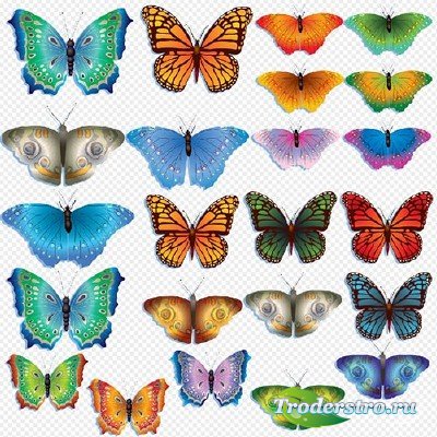 Клипарт- разноцветные красивые бабочки на прозрачном фоне