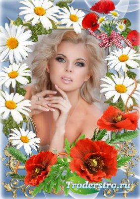 Женская цветочная рамка для фото - Белые ромашки и красные маки