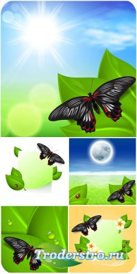      / Natural vector backgrounds with butterflies