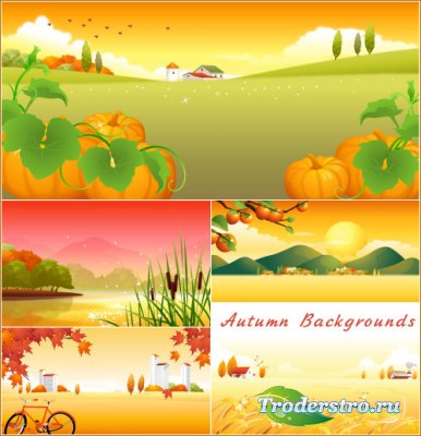 Autumn landscape with large pumpkins and reeds (Vector)