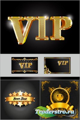 Gold vip cards ornaments vector