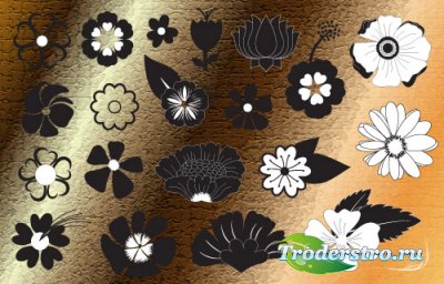 Silhouettes of flowers and decorative elements vector