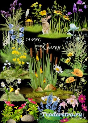 Набор цветочных кластеров для фотошопа с полевыми и лесными цветами - Цвето ...