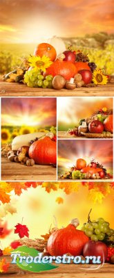  ,   / Autumn background, fall harvest - Stock photo
