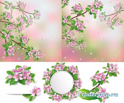 Branch of cherry frames and backgrounds vector