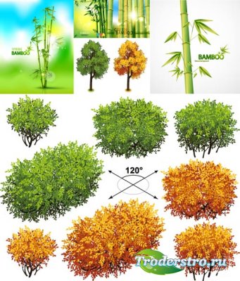 Bamboo trees bushes backgrounds vector