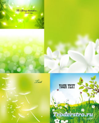 Green floral backgrounds clipart vector